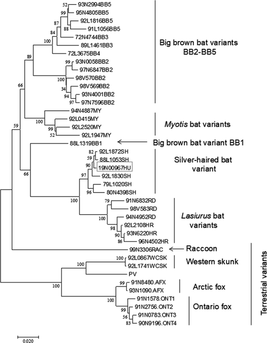 Figure 3: