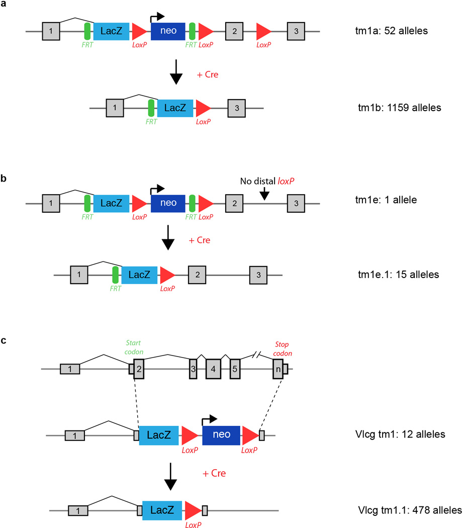 Extended Data Figure 1