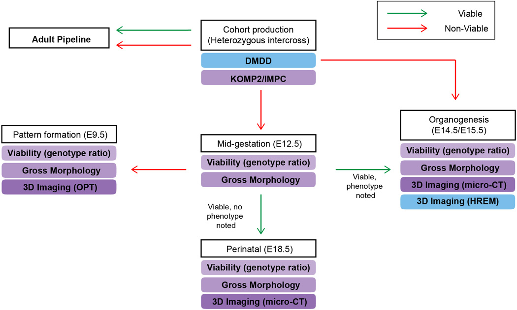 Extended Data Figure 4