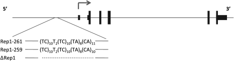 Figure 1.