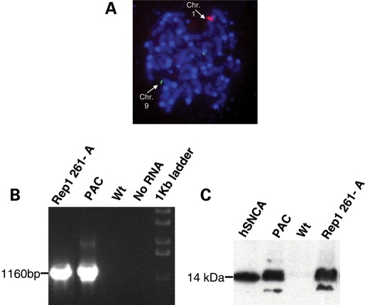 Figure 2.