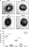 FIG. 1.