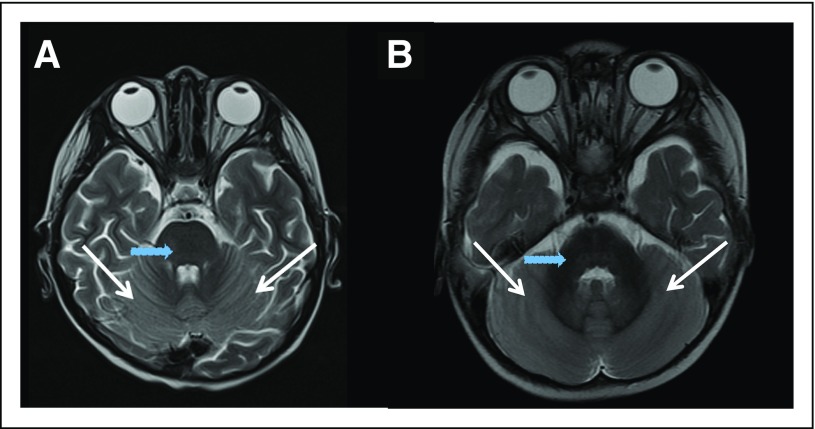 Fig 1.