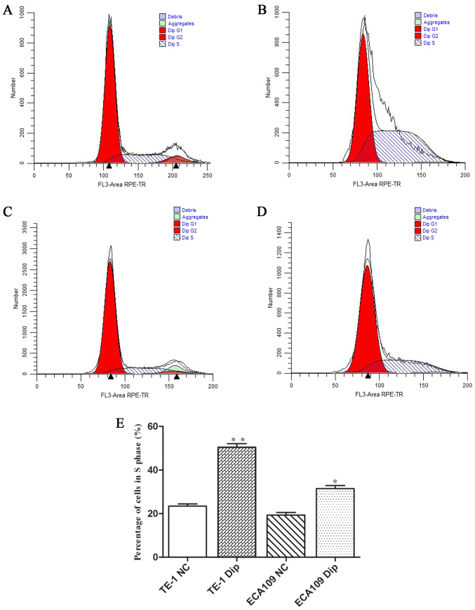 Figure 2.