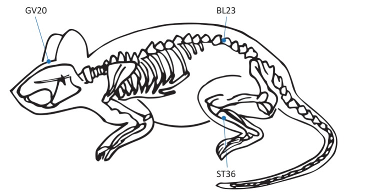 Fig. 2