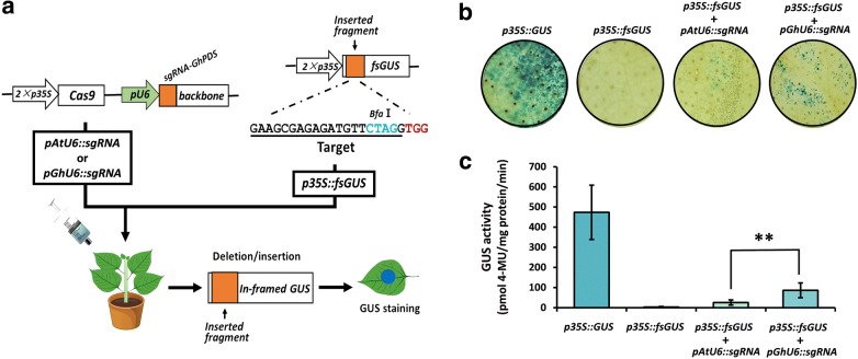 Fig. 4