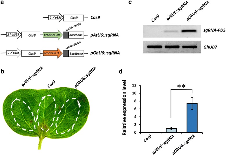 Fig. 2