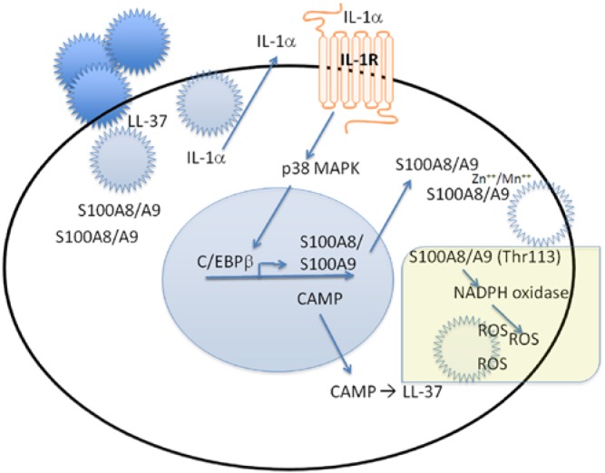 Figure 3.