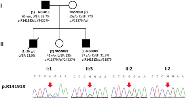 Supplementary Figure 3