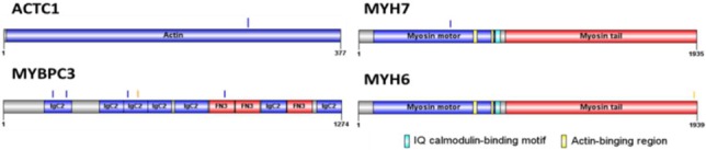 Supplementary Figure 4