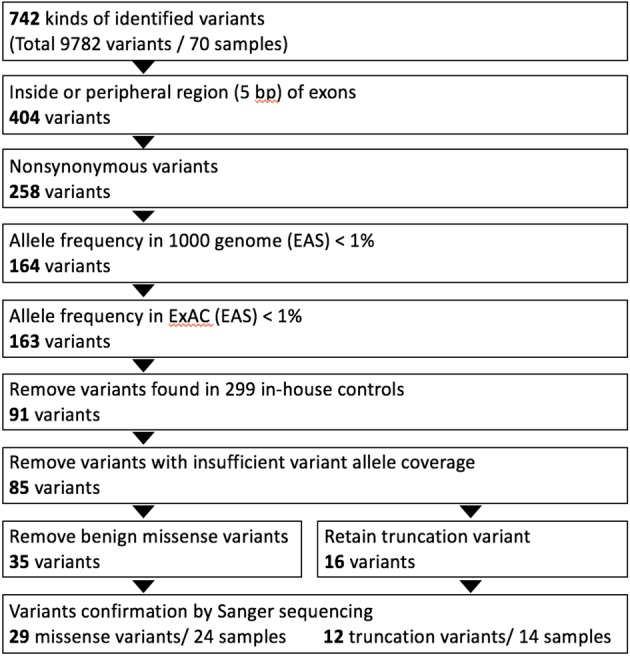 Supplementary Figure 1