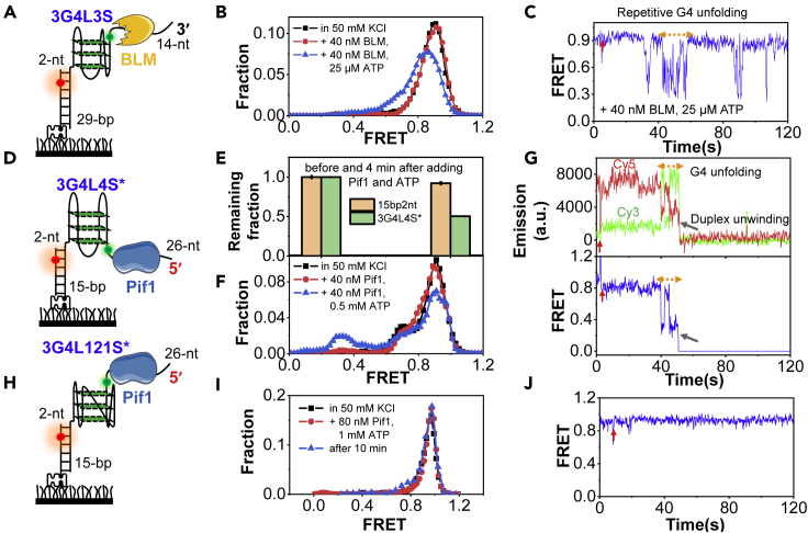 Figure 5