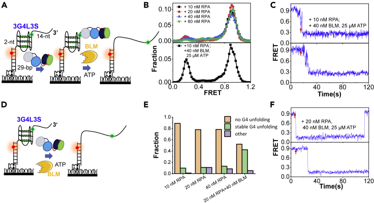 Figure 6