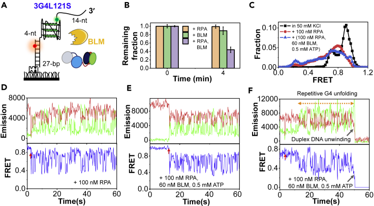 Figure 7