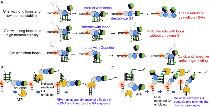 Figure 9