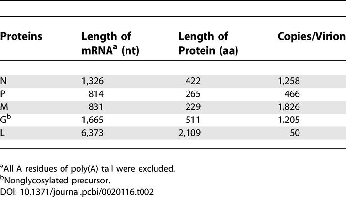 graphic file with name pcbi.0020116.t002.jpg