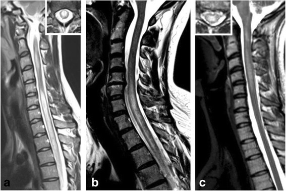 Fig. 10