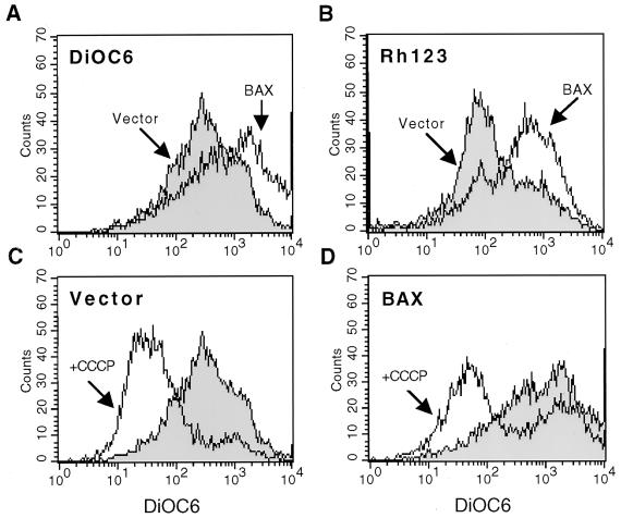 FIG. 3