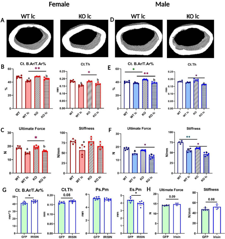 Fig 2: