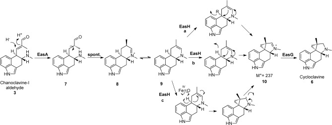 Scheme 1