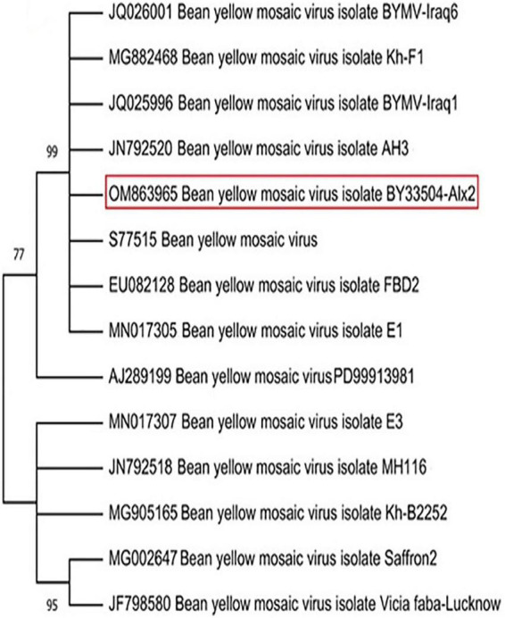 FIGURE 1