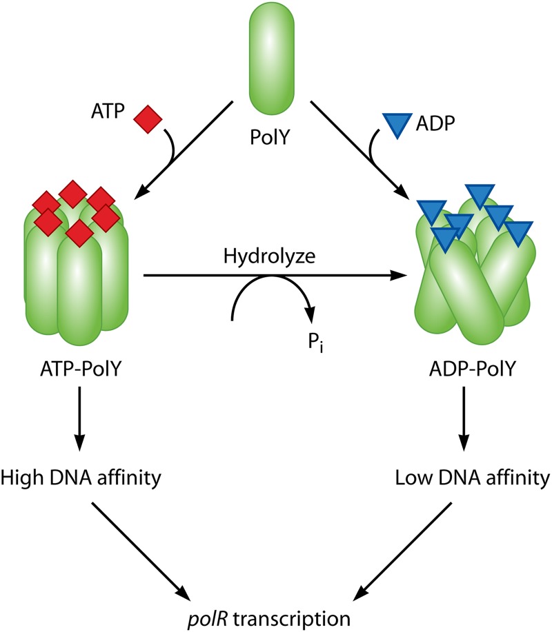 Fig 11