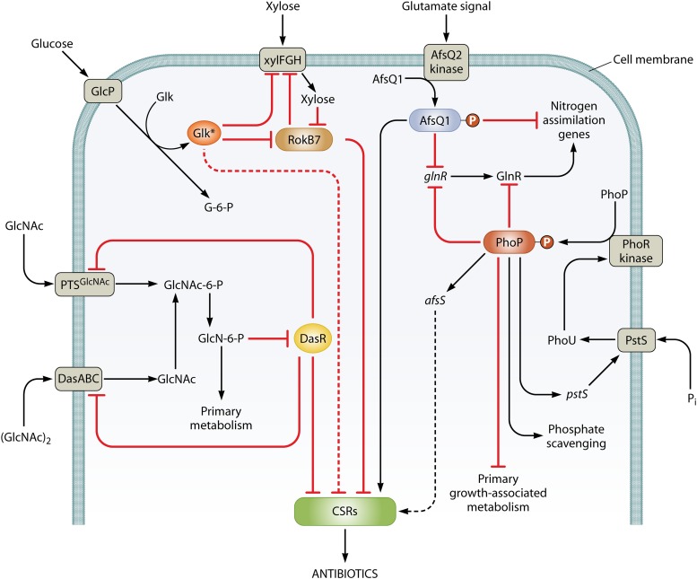 Fig 6