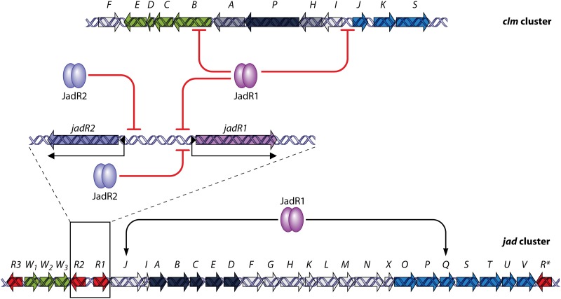 Fig 10