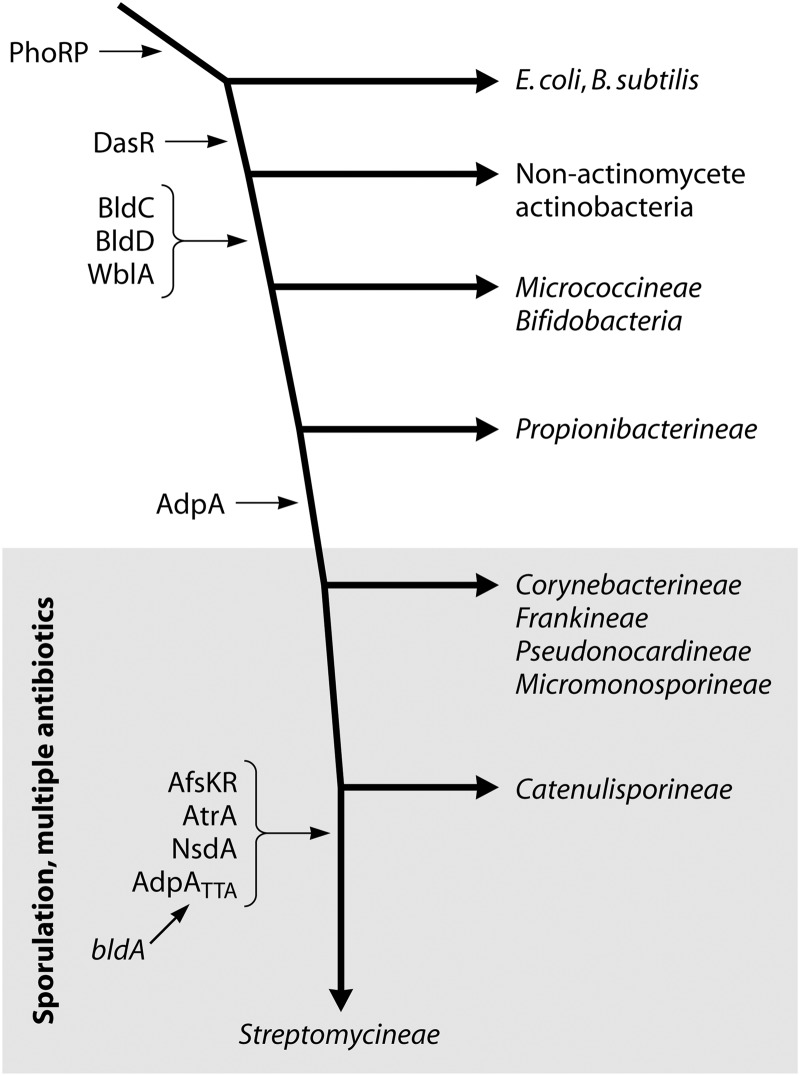 Fig 12