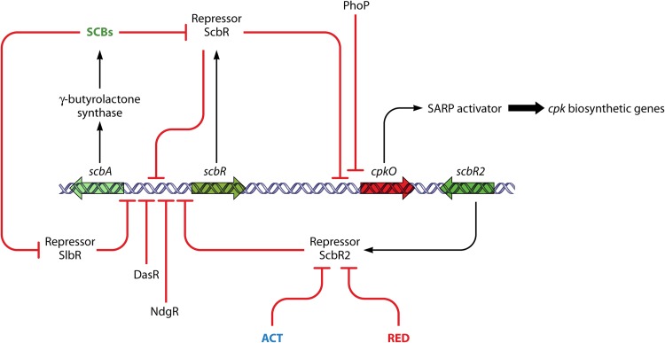 Fig 3