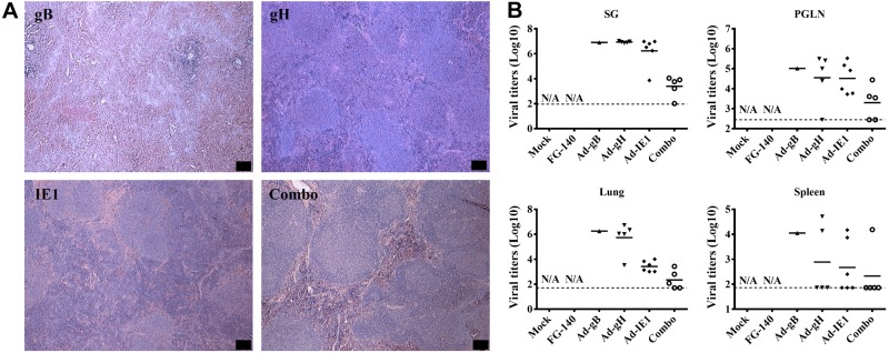 Figure 11.