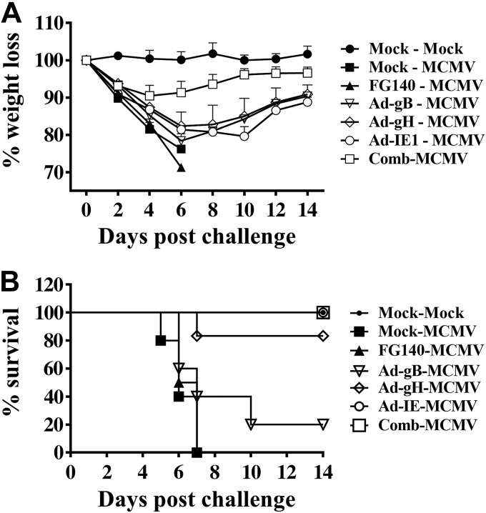 Figure 10.