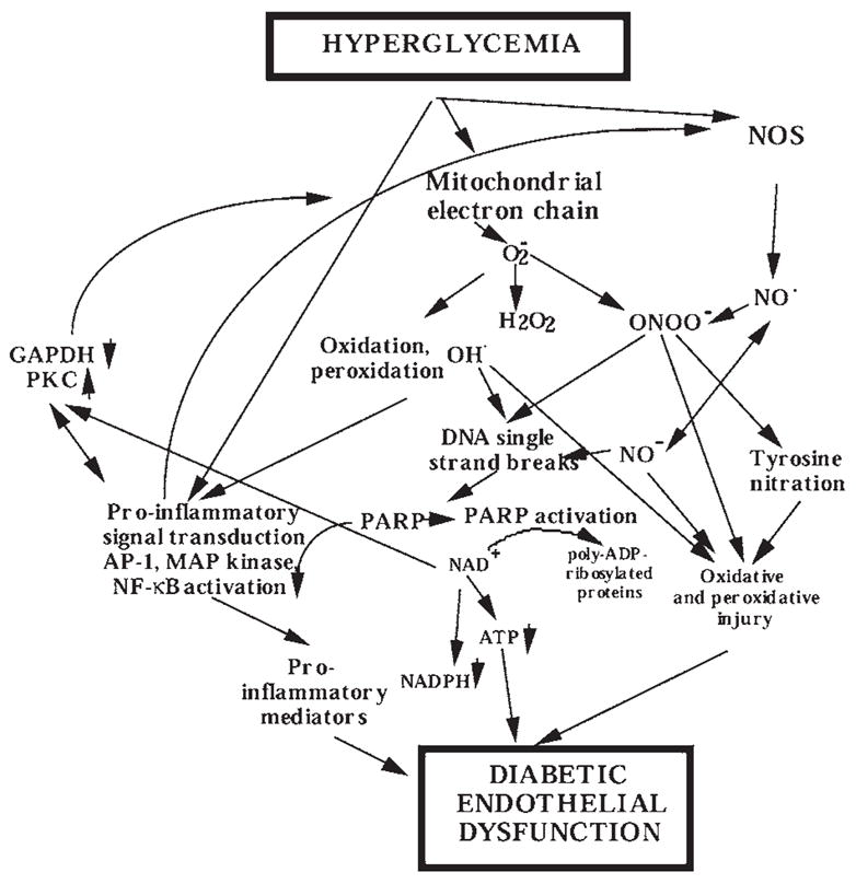 FIG. 6