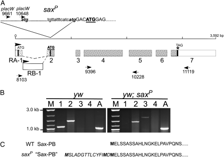 Figure 6.—