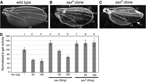 Figure 5.—