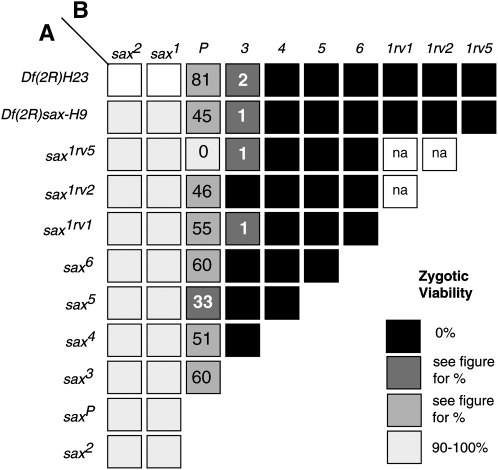 Figure 3.—