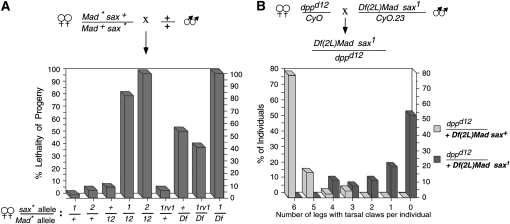 Figure 2.—