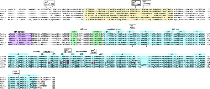 Figure 7.—