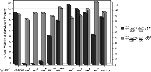 Figure 4.—