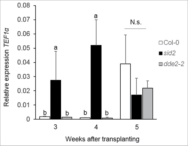 Figure 2.