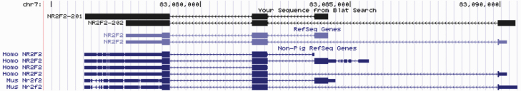 Figure 7.