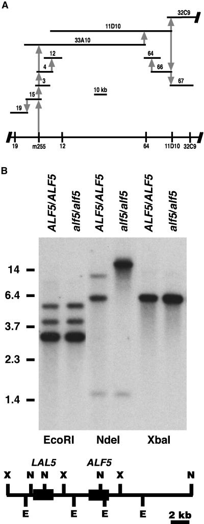 Figure 3.