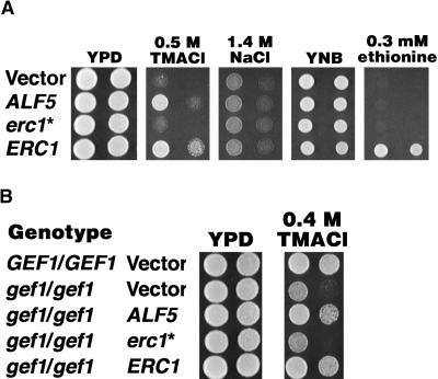 Figure 7.