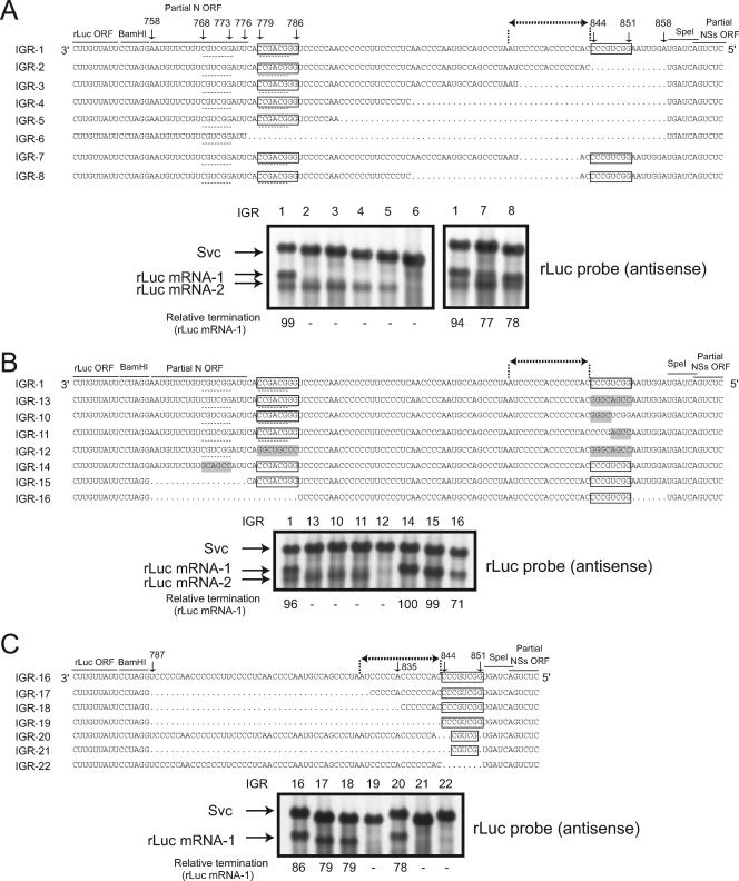 FIG. 7.