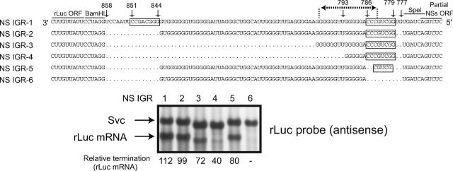 FIG. 8.