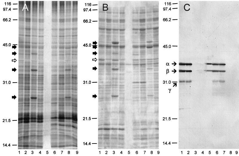 FIG. 3