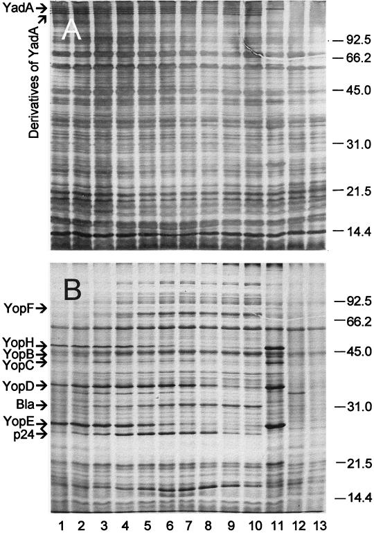 FIG. 4