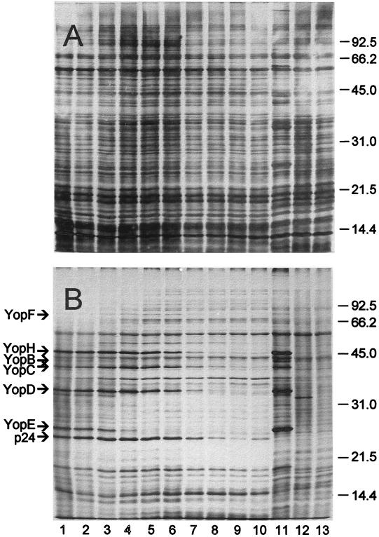 FIG. 5