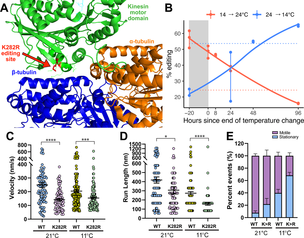 Figure 4: