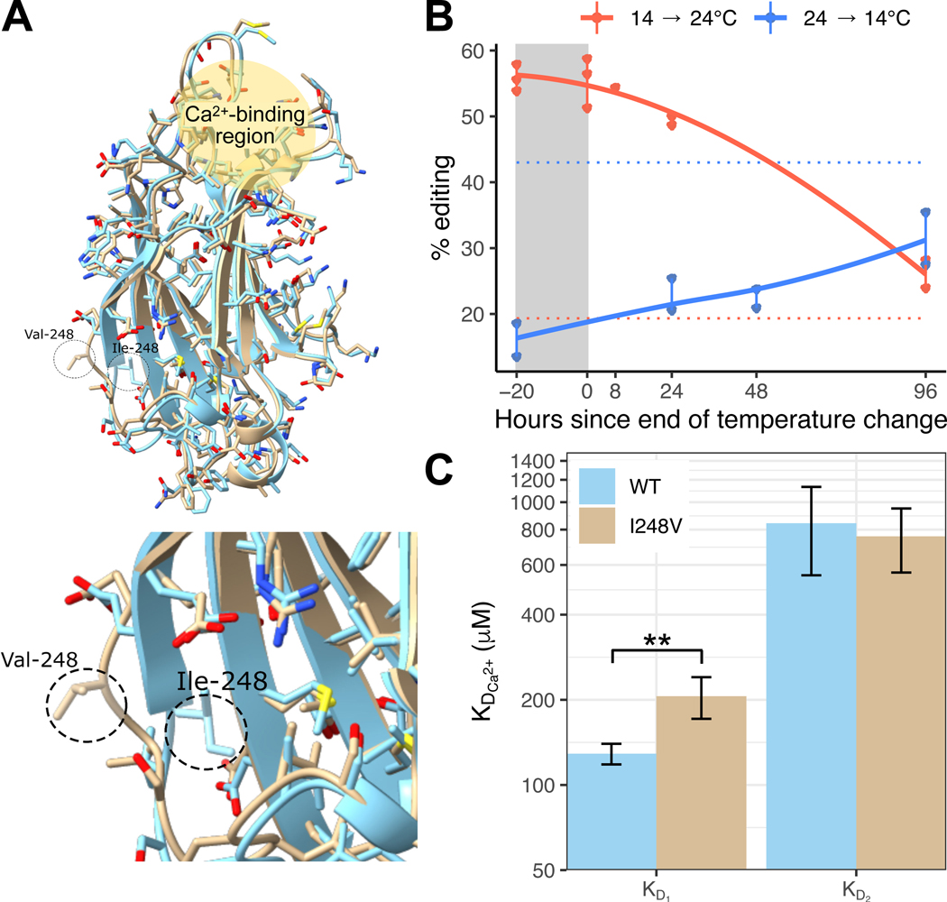 Figure 5: